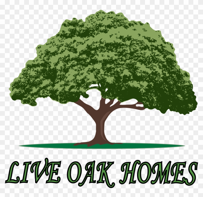 Live Oak Homes Logo #439586