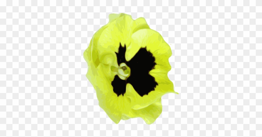 Flower Pansies Yellow Image - Gelbes Schwarzes Pansy Stein-wurfskissen Kissen #439648