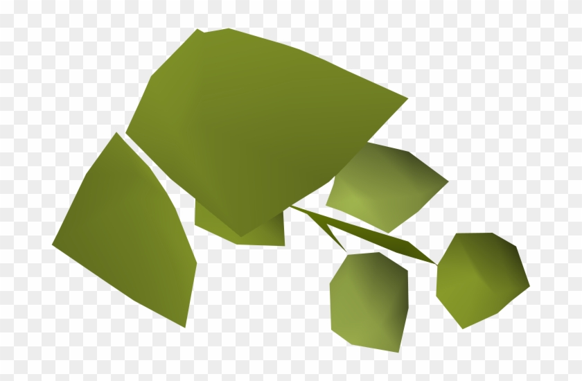 Hammerstone Hops Detail Hammerstone Hops Detail Free Transparent