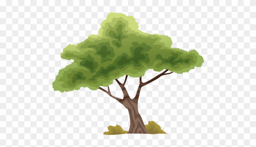 ต้นไม้ - ต้นไม้ Png การ์ตูน #439717