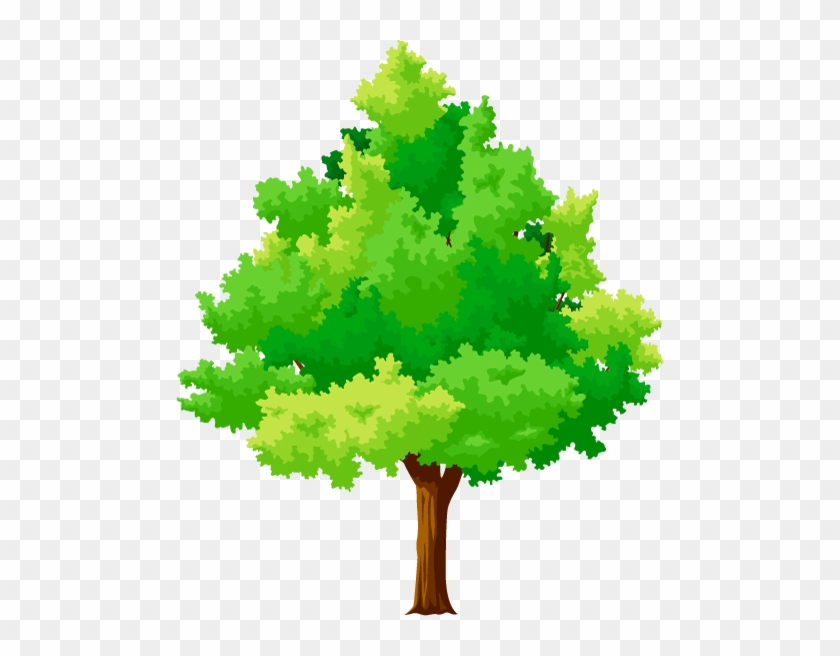 ในส่วนของกรมป่าไม้ - Vector Tree #439742