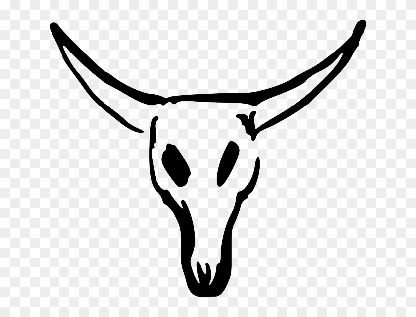 Skull, Cartoon, Cow, Cattle, Mammals, Bull - Craneo De Vaca Dibujo #439739