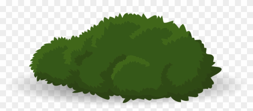 ไม้คลุมดิน มีความสูงน้อยกว่า 30 เซนติเมตร - Arbusto Vector Png #439858