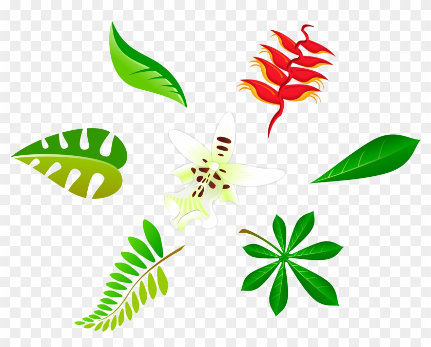 Free Vector Free Leaf Vector Art Package - Leaf Vector Art Png #439937