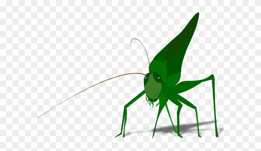 Locust Clip Art - Grasshopper Clipart #439961