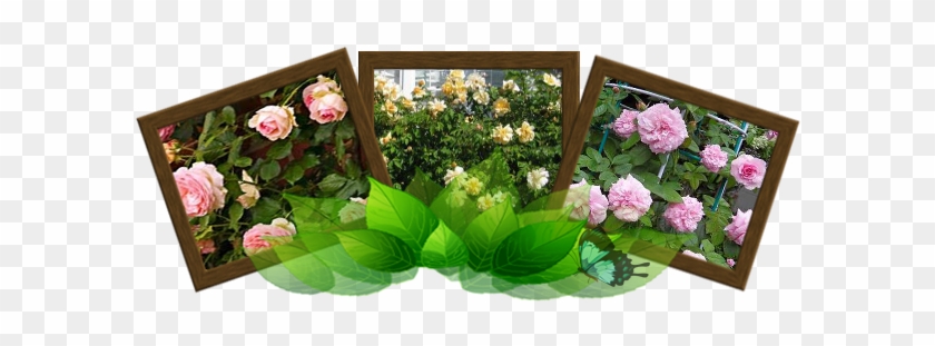 5555 - Artificial Flower #440001