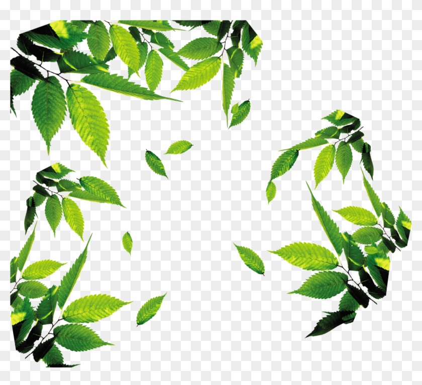 Leaf Download Icon - Tea Leaves Png #440131