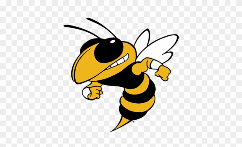 Clinton Yellow Jackets - Georgia Tech Yellow Jackets Football #440270