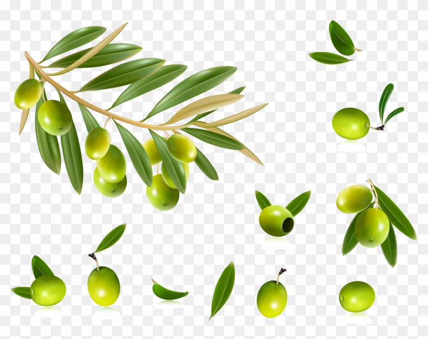 Olive Oil Olive Leaf Clip Art - Olive Vector Free #440364