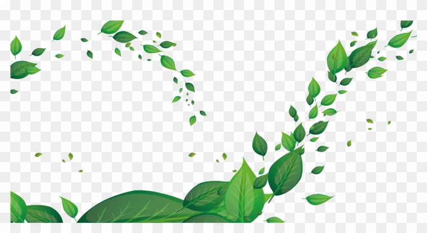 Leaf Green Fundal - Leaf Green Fundal #440499