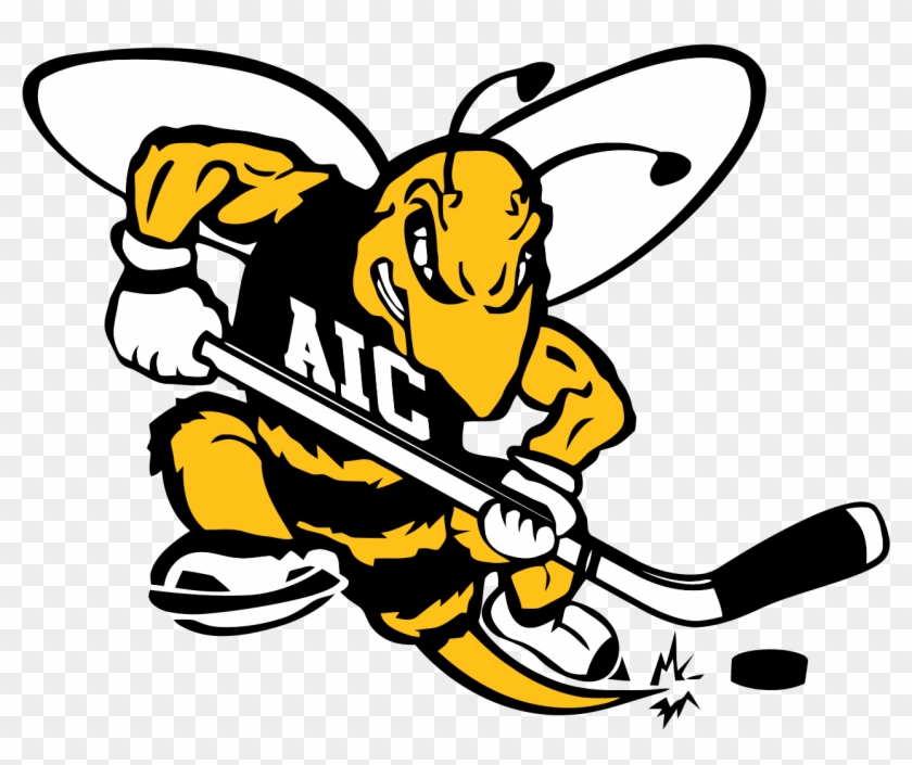 Aic Yellow Jackets - American International Yellow Jackets Hockey #440387