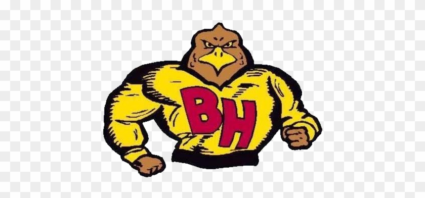 Blackville-hilda Fighting Hawks - Blackville-hilda High School #440441