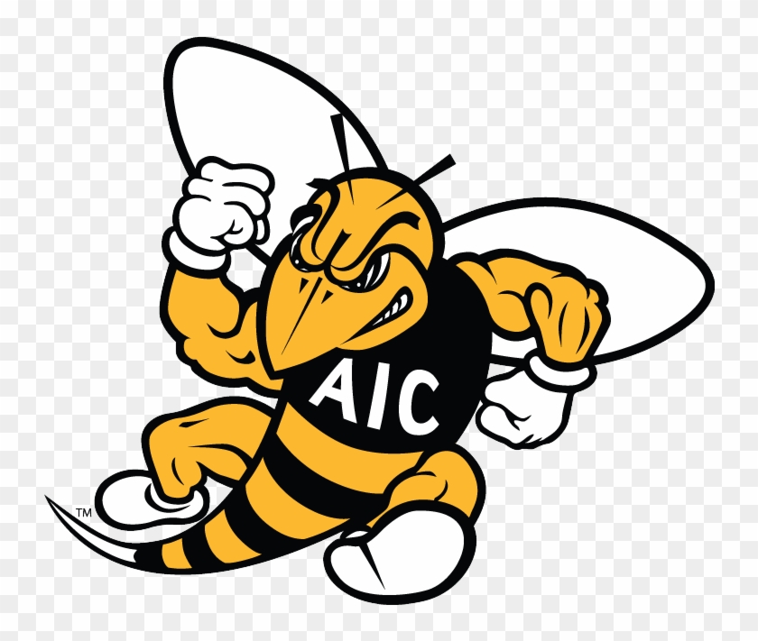 American International College Women - American International Yellow Jackets #440505