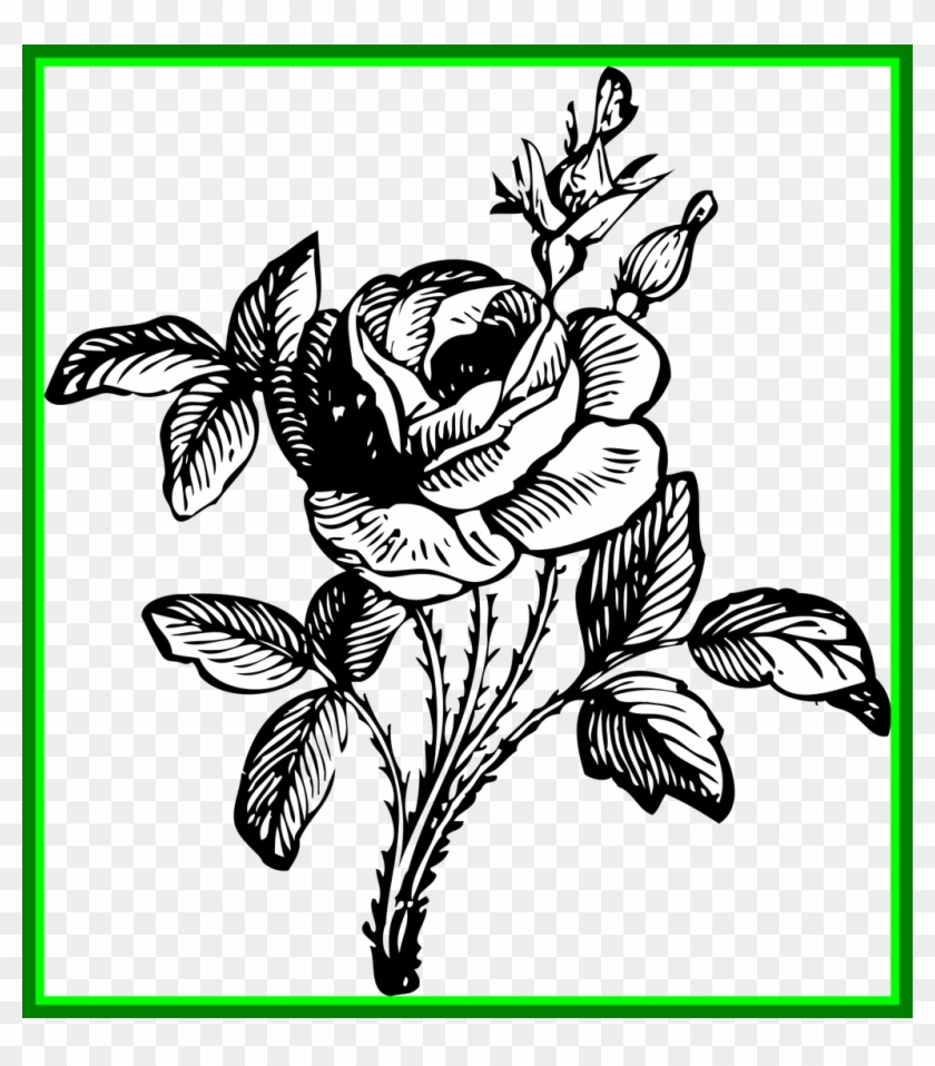 Flower Drawing Flower Drawing Clipart Stunning Of In - Flowers Bouquet Black And White #440508