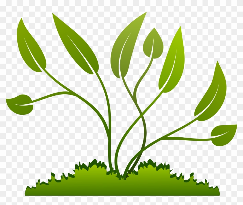Leaf Growing Cliparts - Plants Clipart #440518