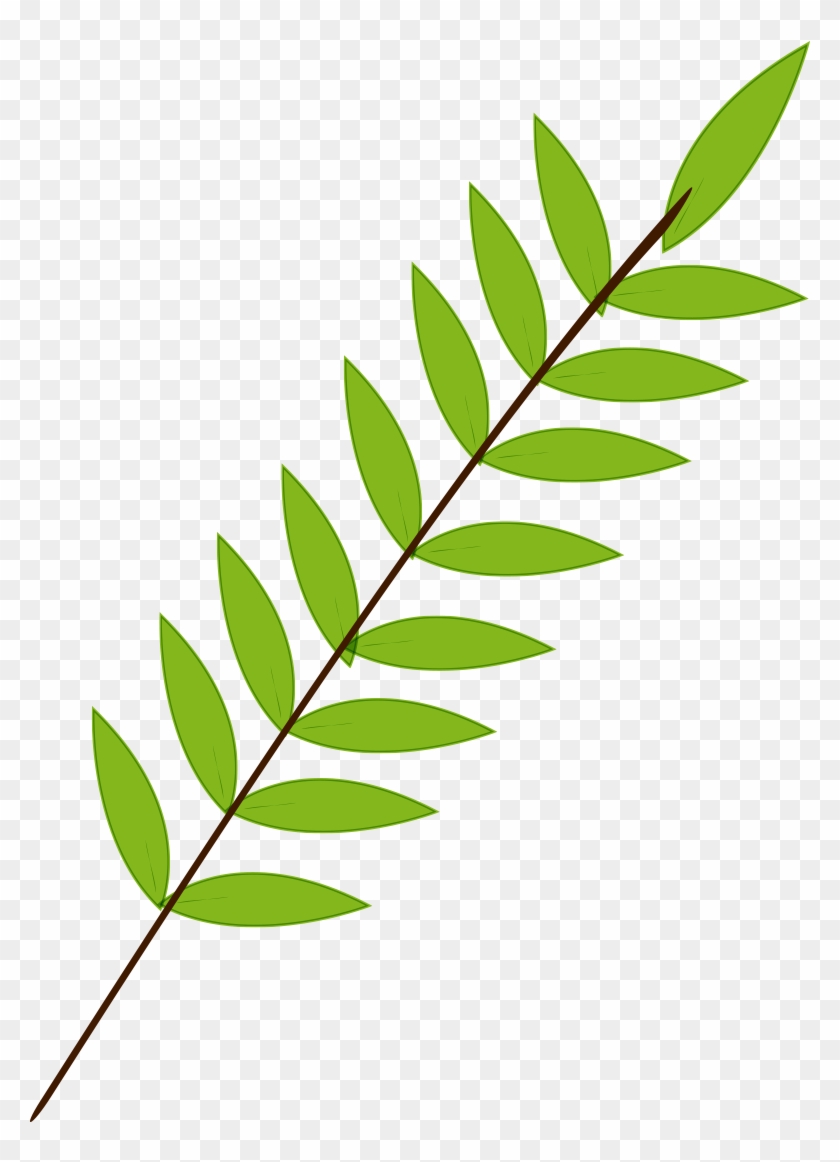 Branch Leaf Green - Leaf #440546