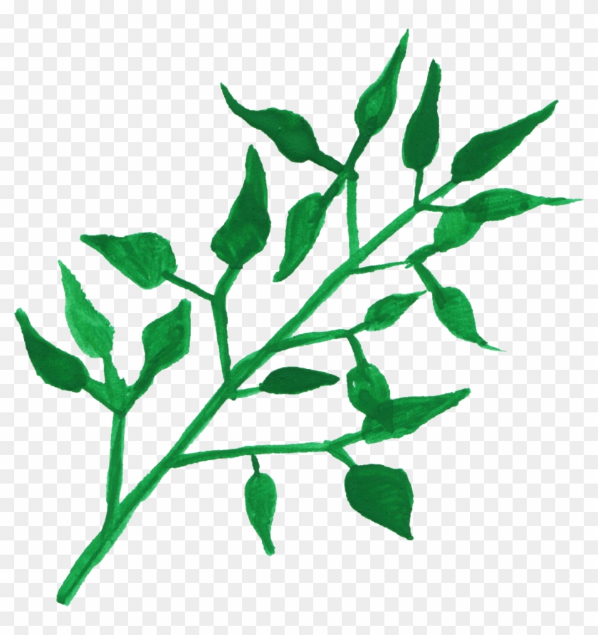 Free Download - Twig #440587