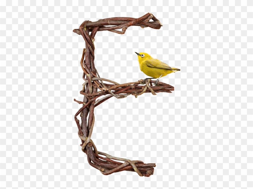 Tree Branch Letters - Font #440641