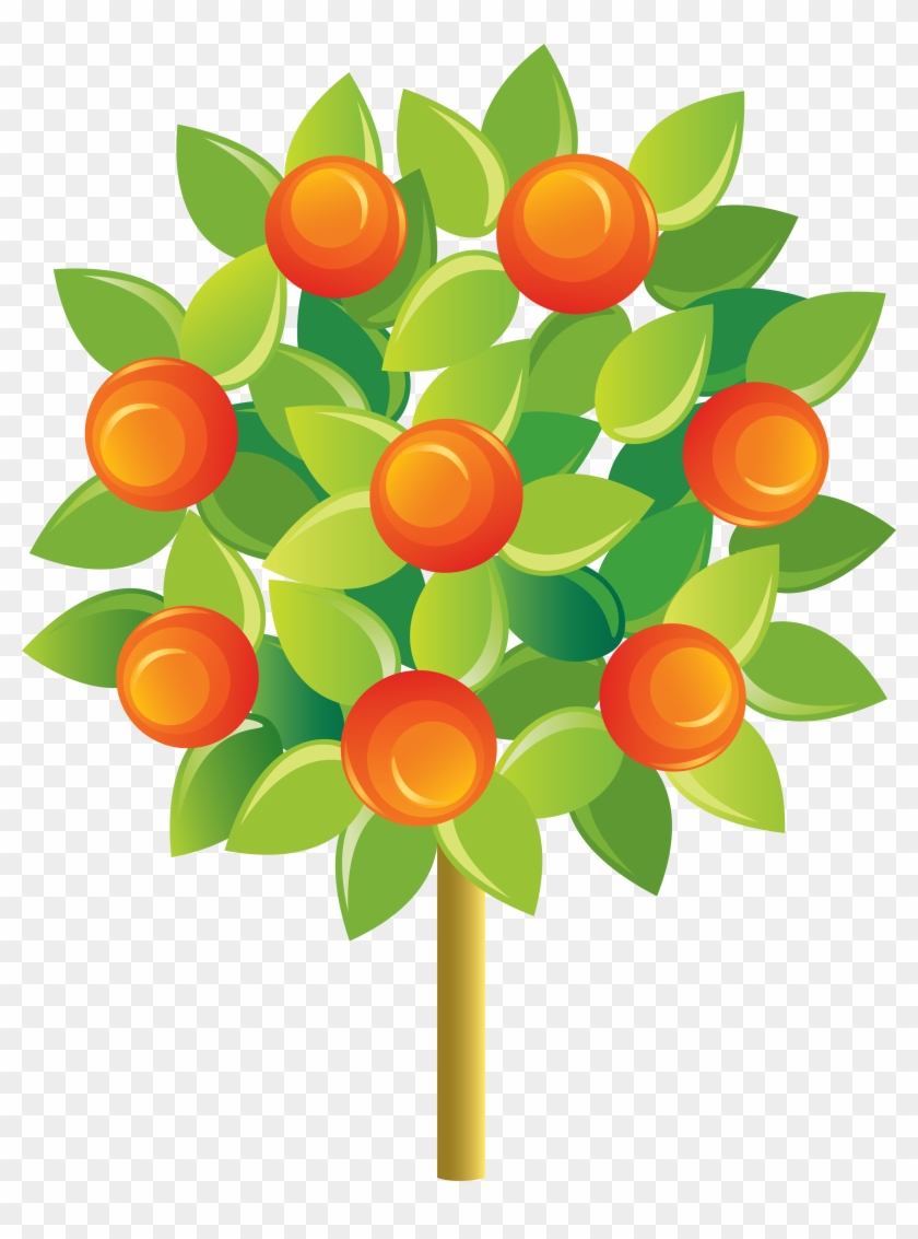 Fruit Tree Tangerine Mandarin Orange - Fruit Tree Tangerine Mandarin Orange #441137