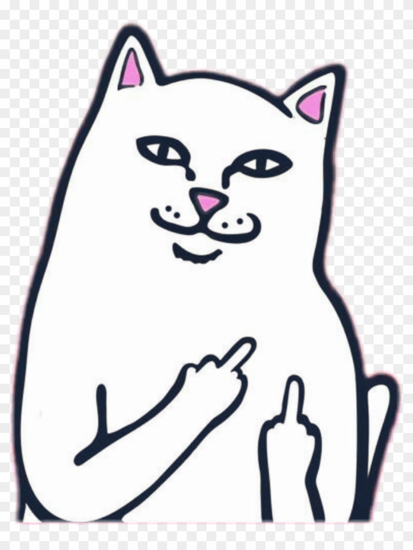 Cat With Middle Finger #441139