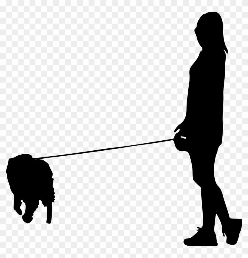 Person Walking Dog Silhouette - Walkinh Person Silhouette Png #441186