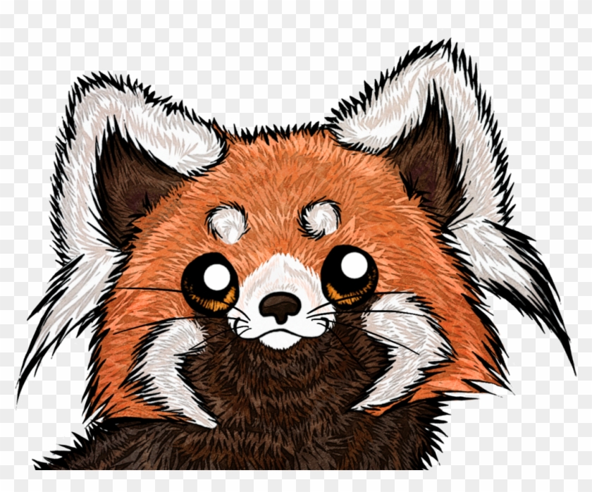 Panda Kiddie - Red Panda Face Drawing #441580