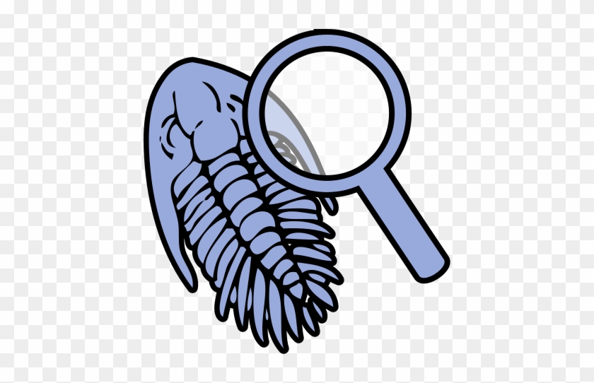 Trilobite Under Magnifying Glass Icon - Fossils Clipart #441619