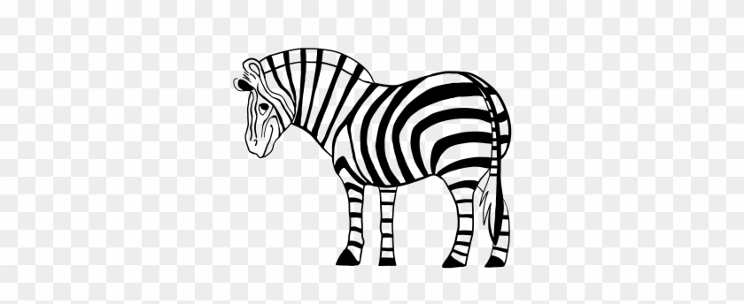 Index Data - Imagen Zebra #441662