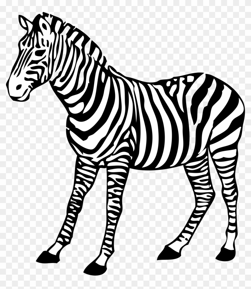 Zebra Clipart Line Drawing - Zebra Black And White #441667