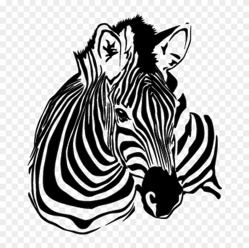 Zebra Vector #441698