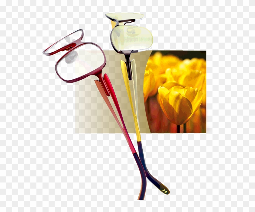 Koali - Glasses #442103