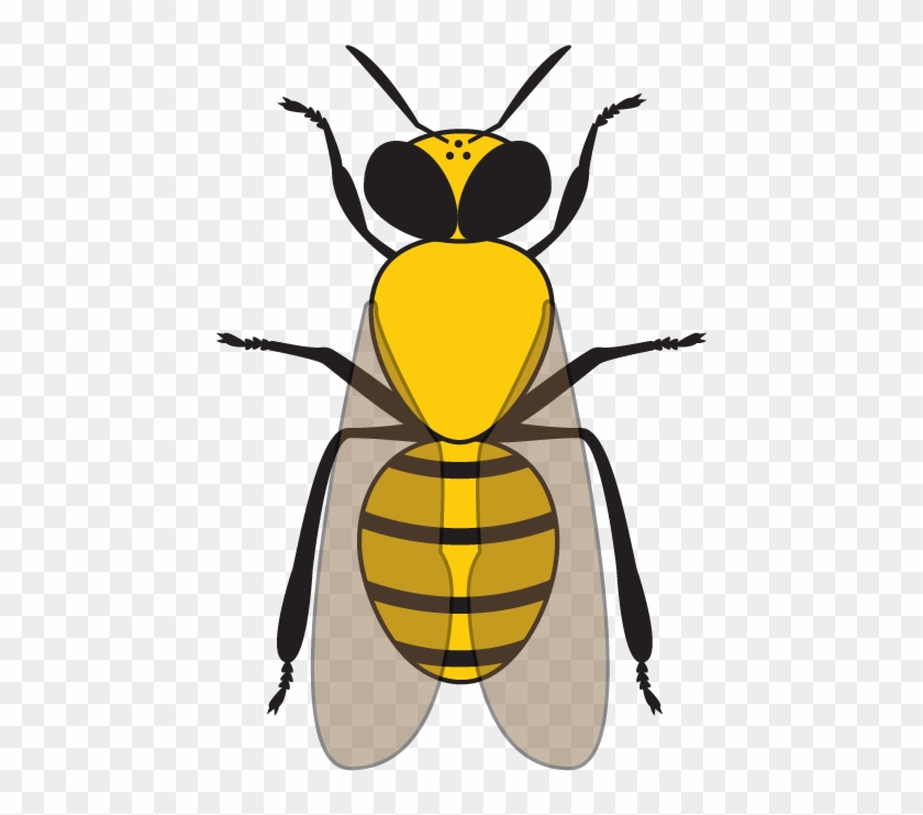 Work Bee - Honeybee #442114