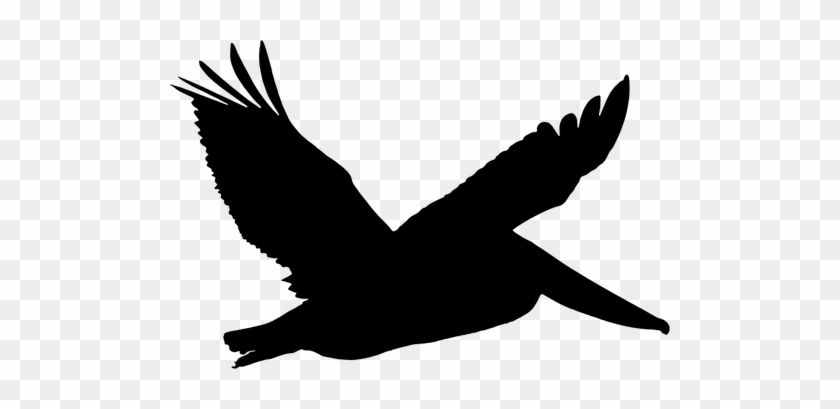 Flying Dove Silhouette - Pelican Silhouette Png #442329