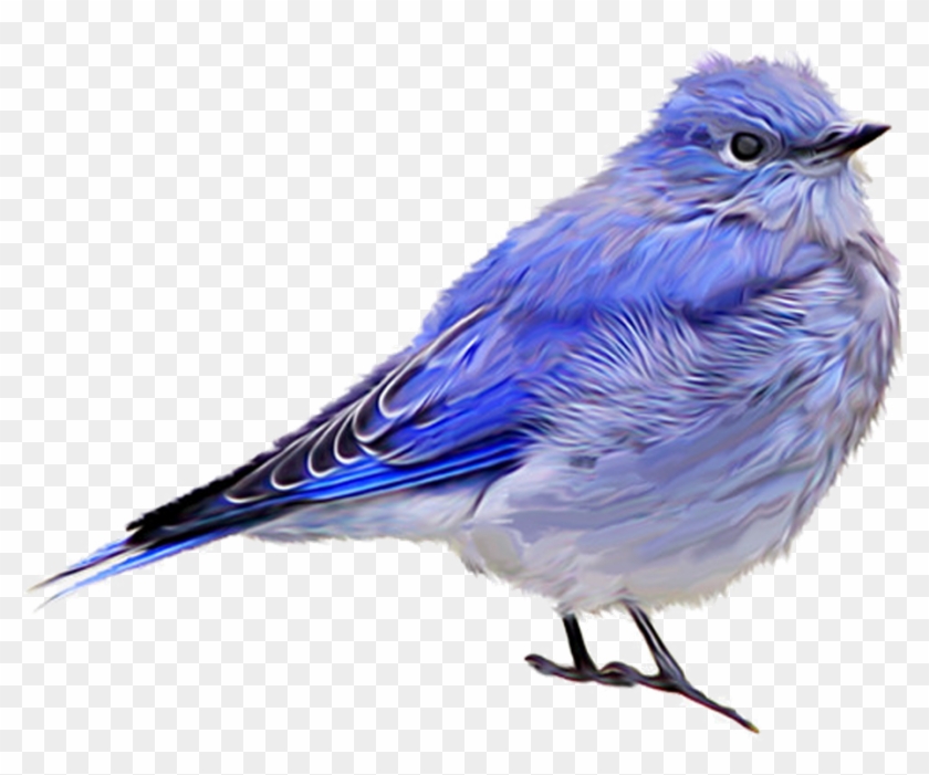 Blue Sparrow Png Download - Beauliful Bird Fly Png #442538