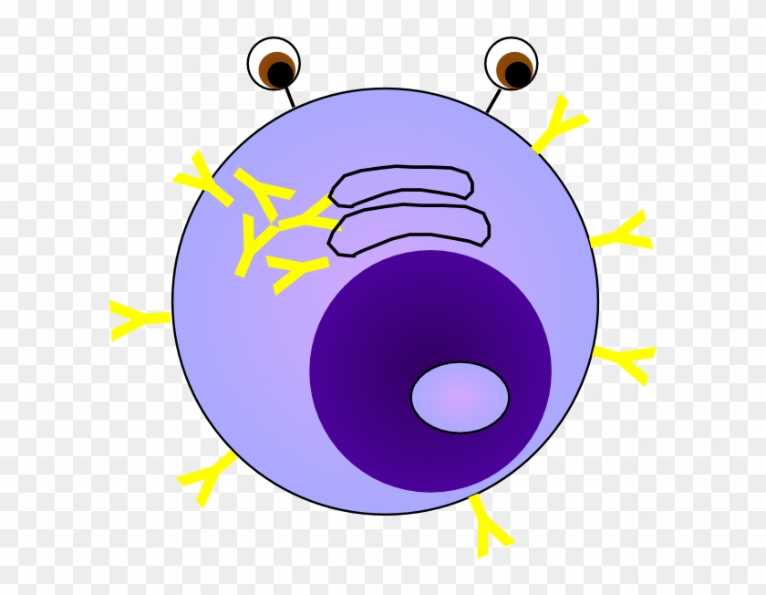 Plasma Clipart Cartoon - Nucleolus Clipart #442732