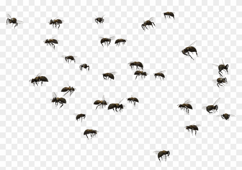 Beehive Swarming Clip Art - Beehive Swarming Clip Art #442928