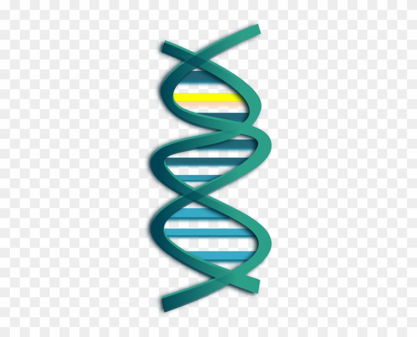 Dna Clip Art #443326