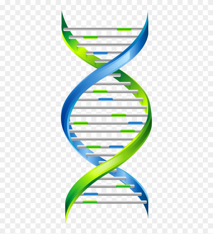 Dna Png - Dna Chain Png #443334