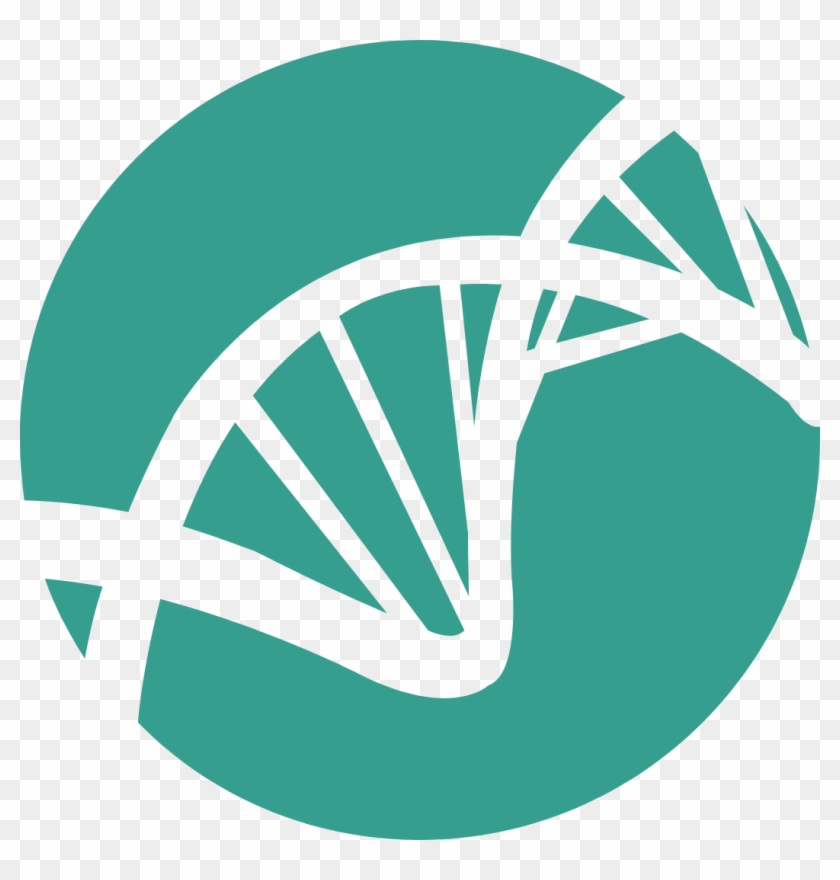 Stravovací Návyky - Research #443413