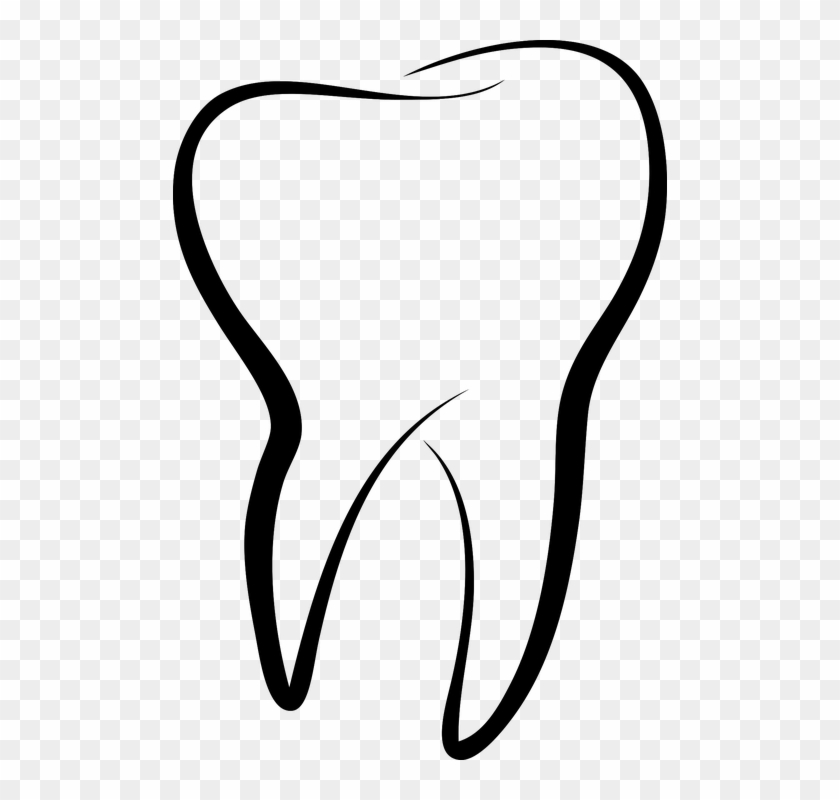 Tooth Images - Dente Desenho Png #443526