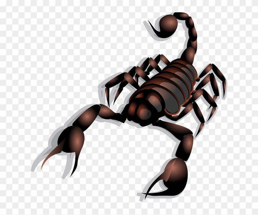 1f982, Scorpion = Scorpio - Scorpion Clip Art #443867
