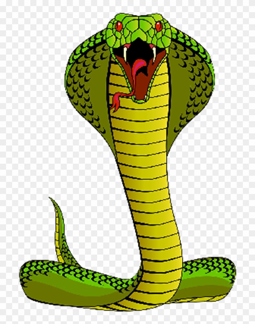 Cobra - Snake Vector #444028