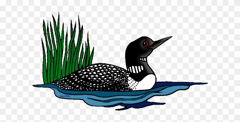 Minnesota State Bird - Loon Clipart #444310