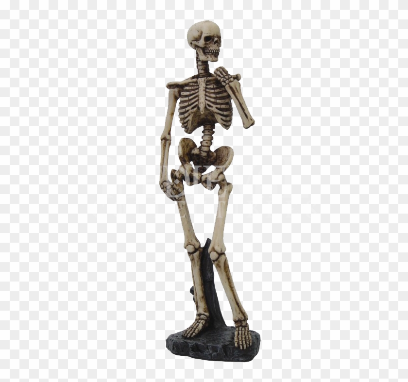Skeleton - Corset Skeleton Sculpture #444349