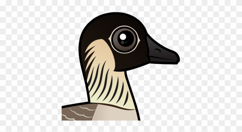 About The Hawaiian Goose - Nene #444360