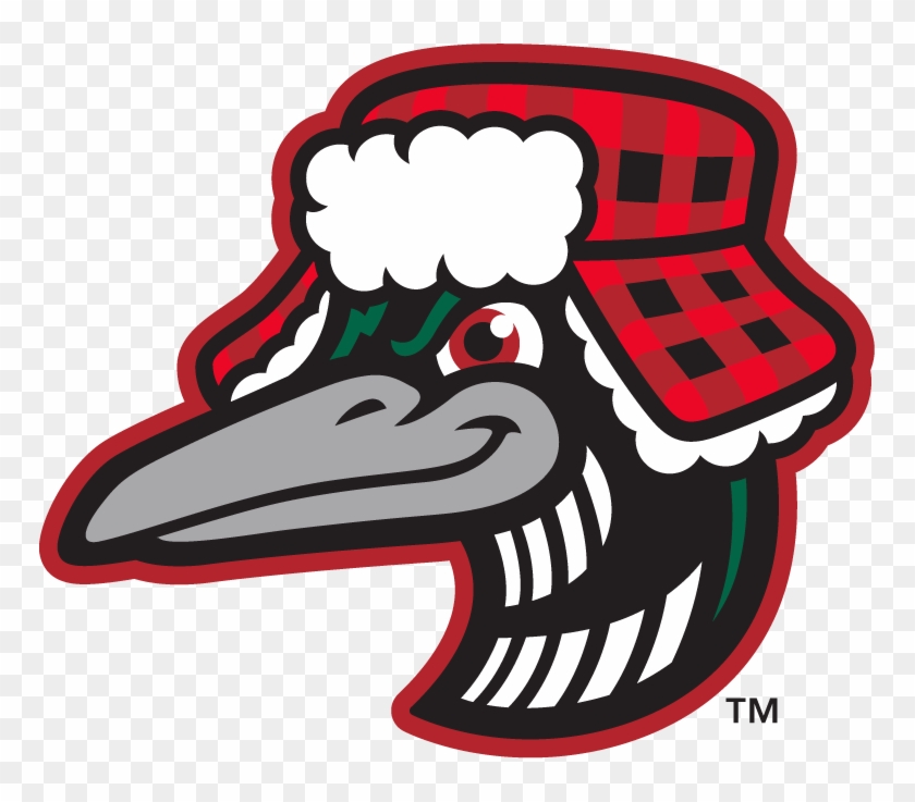 New Great Lake Loons Logo Evokes Summertime In Michigan - Great Lakes Loons Logos #444401