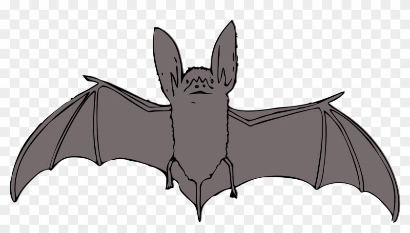 Exclusive Ideas Clipart Bat - Bat Clip Art #444638