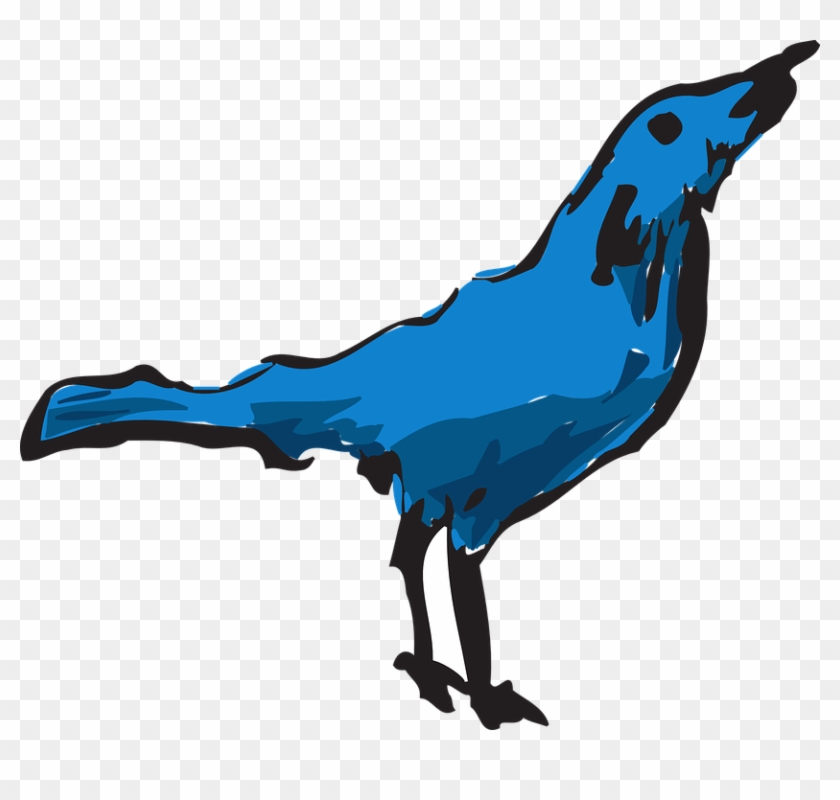 Feathers Blue, Drawing, Bird, Wings, Art, Animal, Feathers - Bird #444644