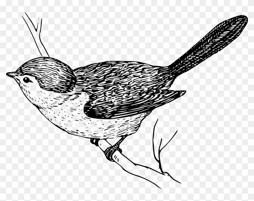 Similar Clip Art - Bird On Branch Drawing #444645