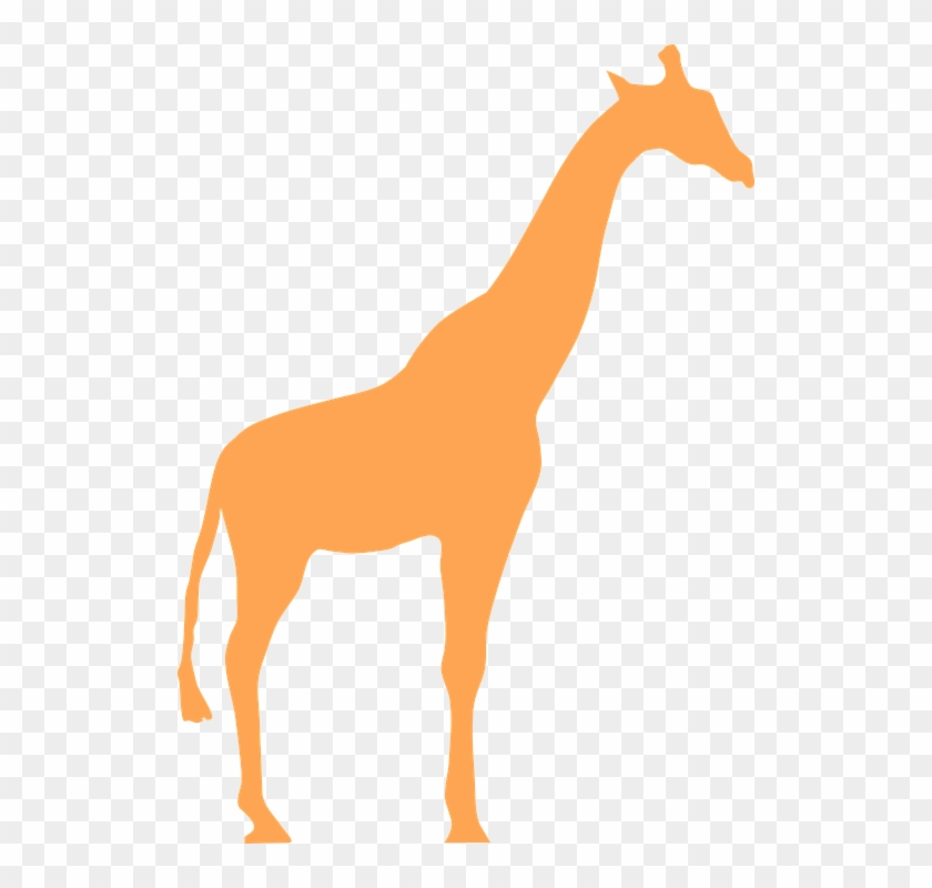Free Vector Graphic Giraffe Animal Mammal Silhouette - Giraffe #444782